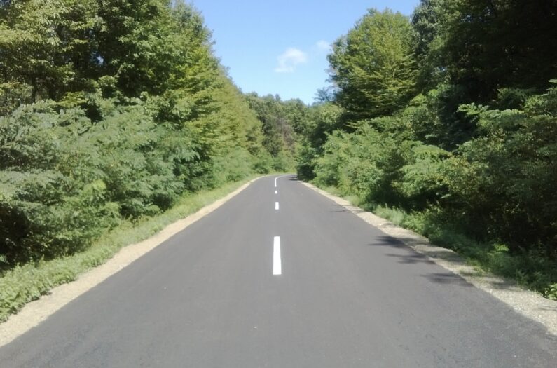 Novo Topolje Ž 4163 004